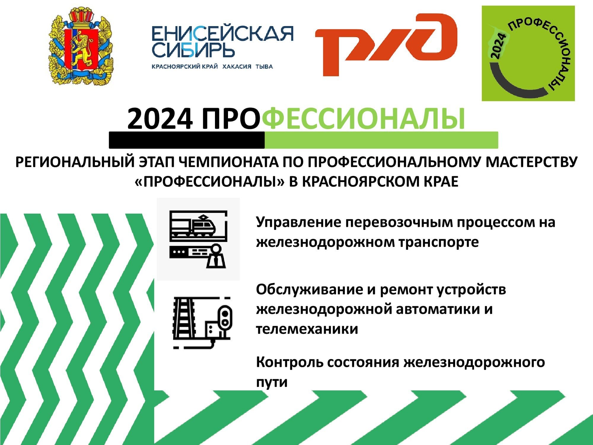 Профессионалы