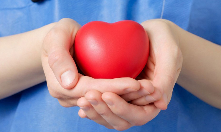 Волонтеры рассказали студентам о донорстве