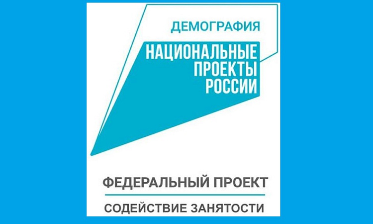 Участие в федеральном проекте "Содействие занятости" Национального проекта "Демография"