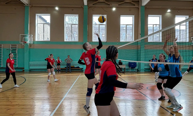 Соревнования по волейболу!