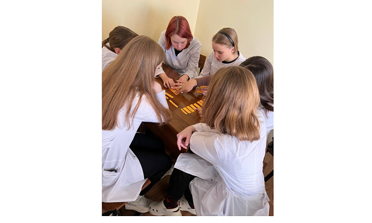 В МК ЖТ ИрГУПС прошло внеурочное профориентационное занятие «Россия здоровая: узнаю о профессиях и достижениях страны в области медицины и здравоохранения»