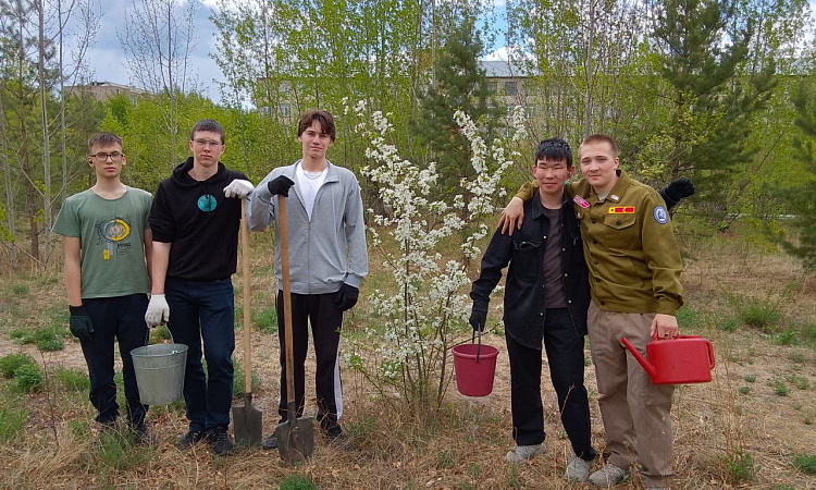 Аллею к 50-летию БАМа благоустраивают бойцы студотрядов ЗабИЖТ Аллею к 50-летию БАМа благоустраивают бойцы студотрядов ЗабИЖТ