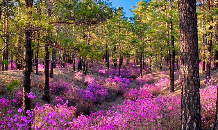 Объявлен конкурс на лучший слоган