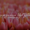Поздравление с 8 марта!