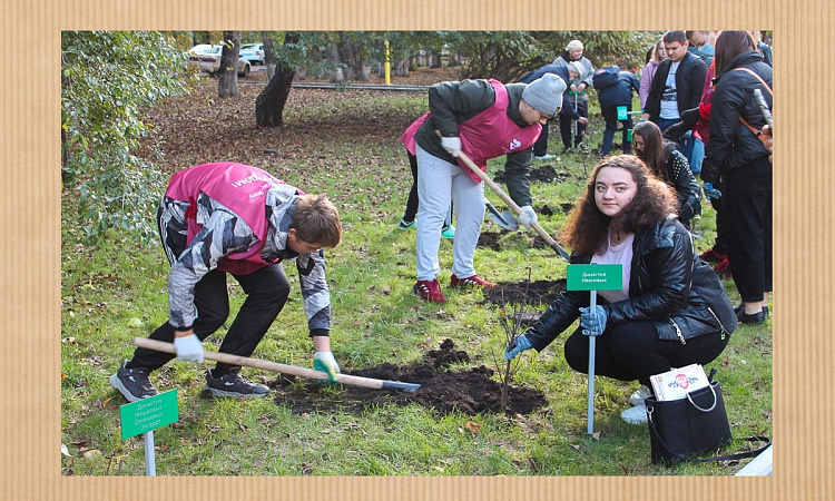 На Аллее «Трудовая доблесть красноярских железнодорожников»  на 15 деревьев стало больше!