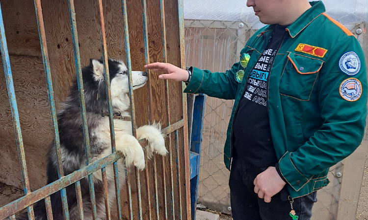 А что это такое Зоосубботник? Помощь пушистым друзьям!