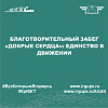 Благотворительный забег «Добрые сердца»: единство в движении