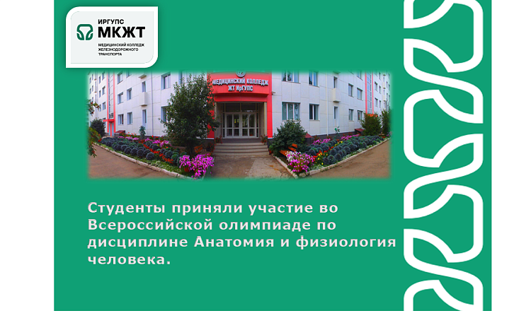 Студенты приняли участие во Всероссийской олимпиаде по дисциплине Анатомия и физиология человека Студенты приняли участие во Всероссийской олимпиаде по дисциплине Анатомия и физиология человека