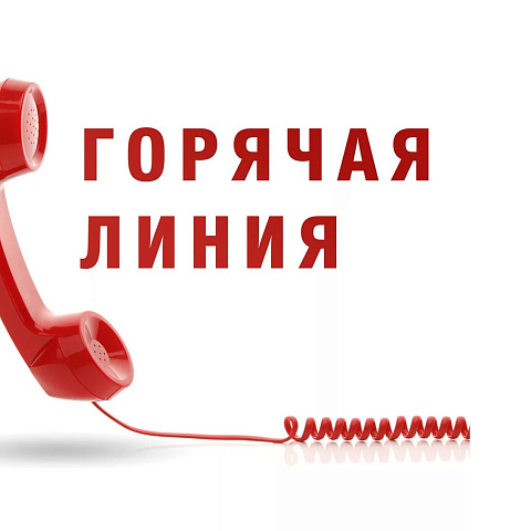 Заработала "горячая линия" для абитуриентов - 2020