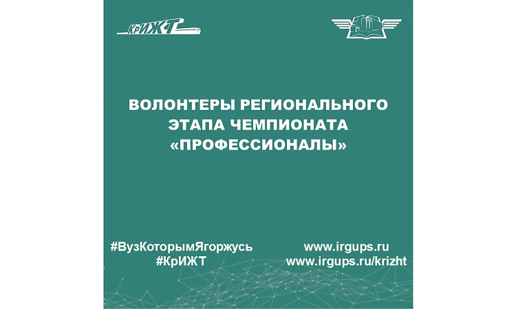Волонтеры Регионального этапа чемпионата «Профессионалы» 