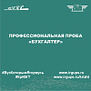 Профессиональная проба «Бухгалтер»