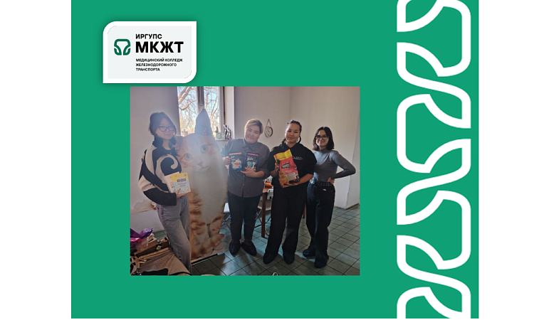 Студенты помогают в приюте для кошек "Время котов"