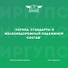 Лекция «Логика, стандарты и железнодорожный подвижной состав» прошла в ИрГУПС