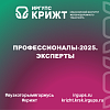 Профессионалы-2025. Эксперты