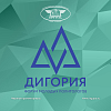 IV Форум молодых политологов России «Дигория»