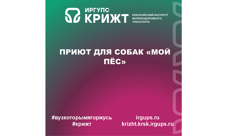 Приют для собак «Мой Пёс»