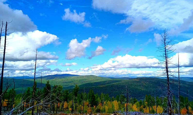 Фотоконкурс "Калейдоскоп родного края" (2 часть) ИТОГИ!!!!!