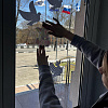 В преддверии 79-й годовщины Победы советского народа в Великой Отечественной войне Сибирский колледж транспорта и строительства ИрГУПС принял участие во Всероссийской акции «Флаги Победы», «Окна Победы»
