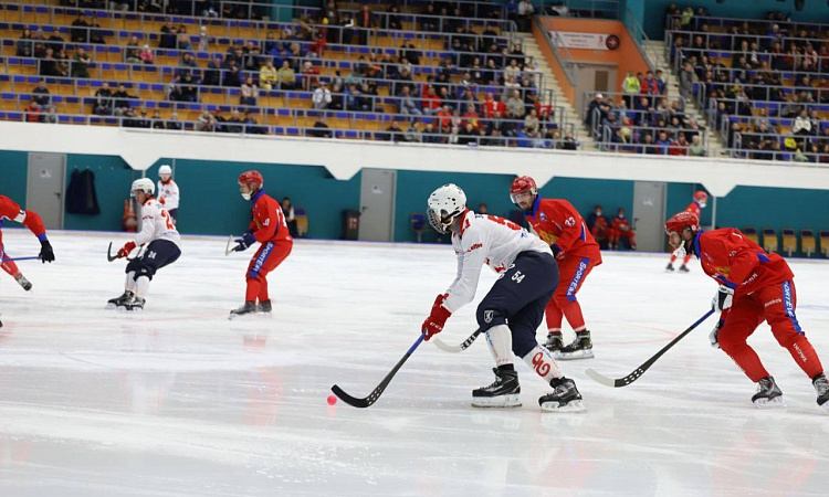 Кубок Енисейской Сибири по хоккею с мячом