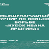 Волонтерское сопровождение Международного турнира по вольной борьбе «Кубок Ивана Ярыгина»