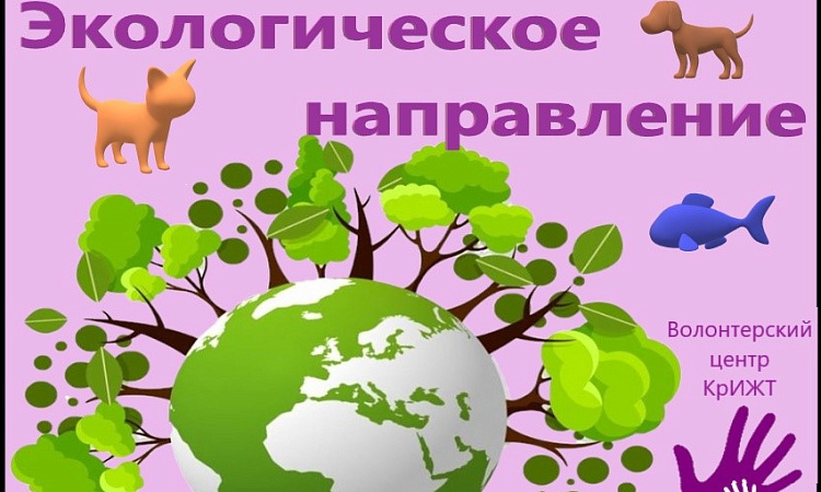 Приют для собак «Ковчег надежды»