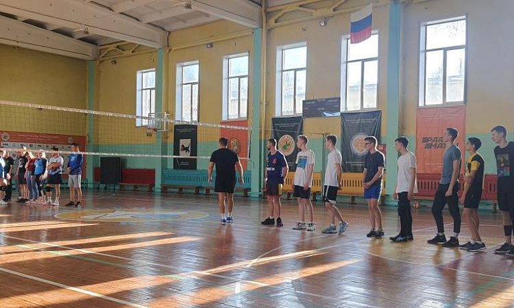 Товарищеский матч по волейболу